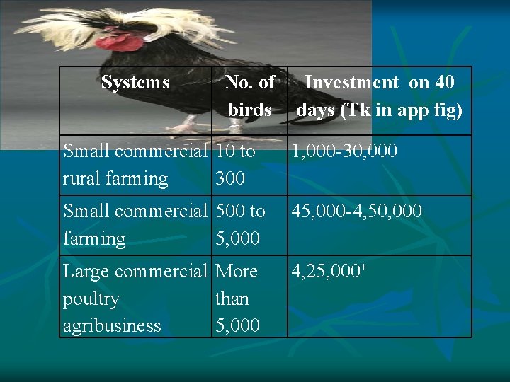 Systems No. of birds Investment on 40 days (Tk in app fig) Small commercial