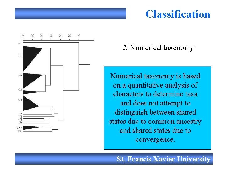 Biology 201 Dr Edwin De Mont Animal Classification