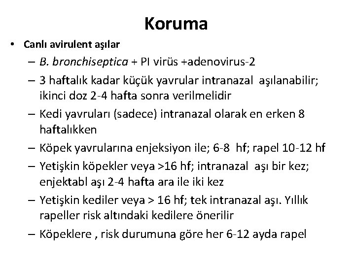 Koruma • Canlı avirulent aşılar – B. bronchiseptica + PI virüs +adenovirus-2 – 3