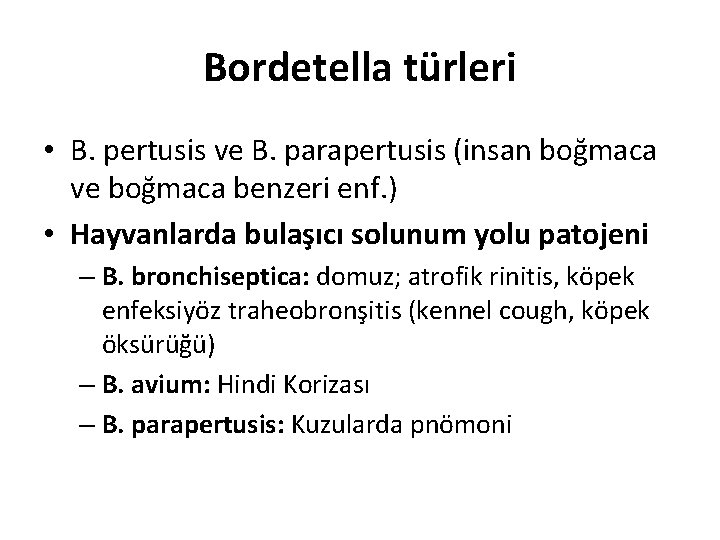 Bordetella türleri • B. pertusis ve B. parapertusis (insan boğmaca ve boğmaca benzeri enf.