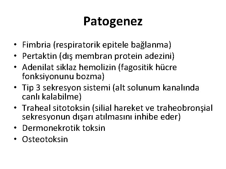 Patogenez • Fimbria (respiratorik epitele bağlanma) • Pertaktin (dış membran protein adezini) • Adenilat