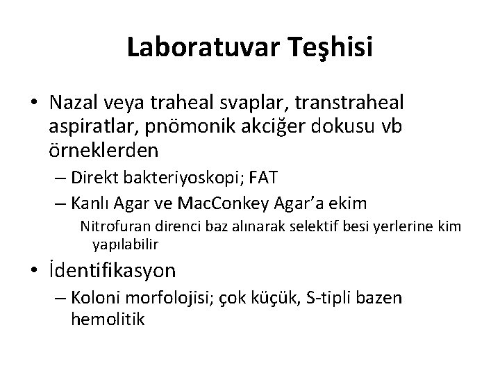 Laboratuvar Teşhisi • Nazal veya traheal svaplar, transtraheal aspiratlar, pnömonik akciğer dokusu vb örneklerden