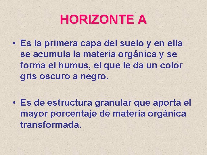 HORIZONTE A • Es la primera capa del suelo y en ella se acumula