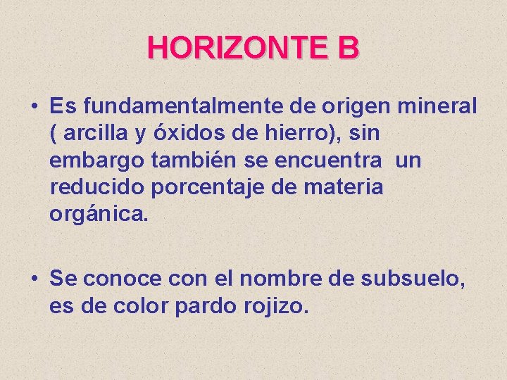 HORIZONTE B • Es fundamentalmente de origen mineral ( arcilla y óxidos de hierro),