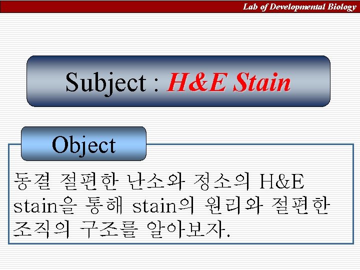 Lab of Developmental Biology Subject : H&E Stain Object 동결 절편한 난소와 정소의 H&E
