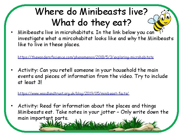 Where do Minibeasts live? What do they eat? • Minibeasts live in microhabitats. In