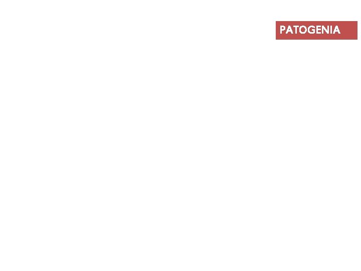 PATOGENIA 