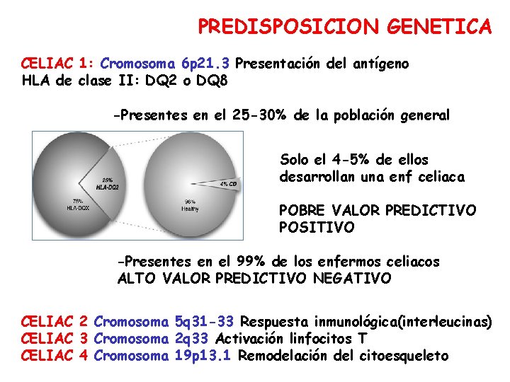 PREDISPOSICION GENETICA CELIAC 1: Cromosoma 6 p 21. 3 Presentación del antígeno HLA de