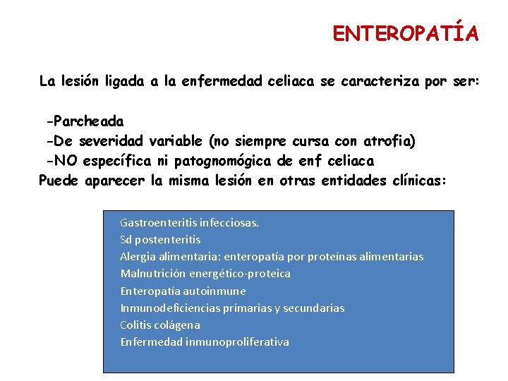 ENTEROPATÍA La lesión ligada a la enfermedad celiaca se caracteriza por ser: -Parcheada -De