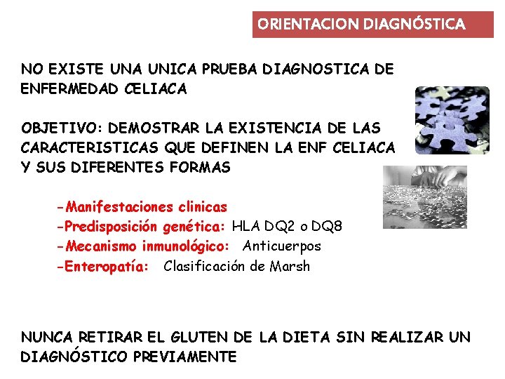 ORIENTACION DIAGNÓSTICA NO EXISTE UNA UNICA PRUEBA DIAGNOSTICA DE ENFERMEDAD CELIACA OBJETIVO: DEMOSTRAR LA