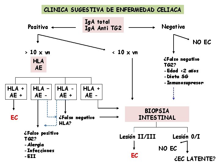 CLINICA SUGESTIVA DE ENFERMEDAD CELIACA Ig. A total Ig. A Anti TG 2 Positiva