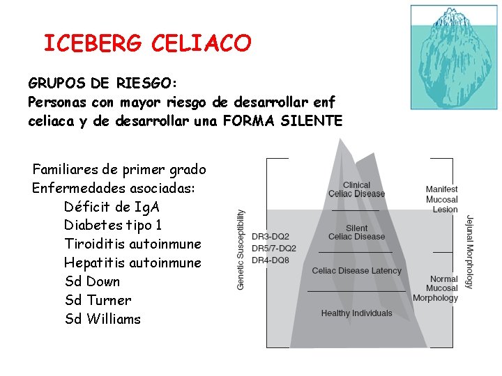 ICEBERG CELIACO GRUPOS DE RIESGO: Personas con mayor riesgo de desarrollar enf celiaca y