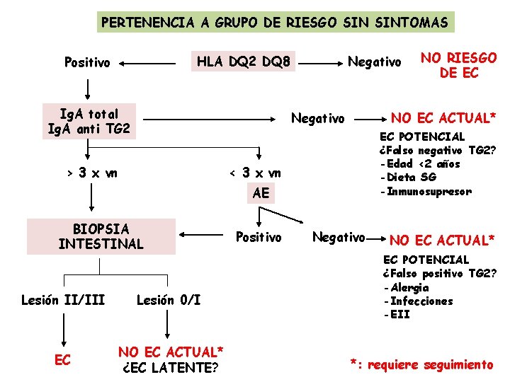 PERTENENCIA A GRUPO DE RIESGO SINTOMAS HLA DQ 2 DQ 8 Positivo Ig. A