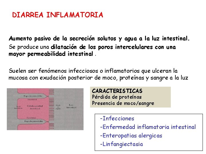 DIARREA INFLAMATORIA Aumento pasivo de la secreción solutos y agua a la luz intestinal.