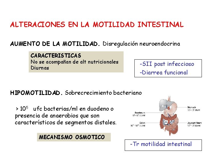 ALTERACIONES EN LA MOTILIDAD INTESTINAL AUMENTO DE LA MOTILIDAD. Disregulación neuroendocrina CARACTERISTICAS No se