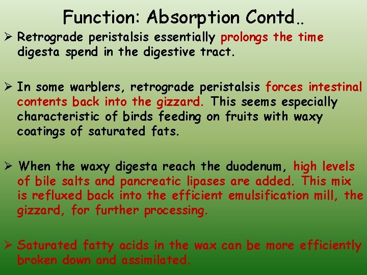 Function: Absorption Contd. . Ø Retrograde peristalsis essentially prolongs the time digesta spend in