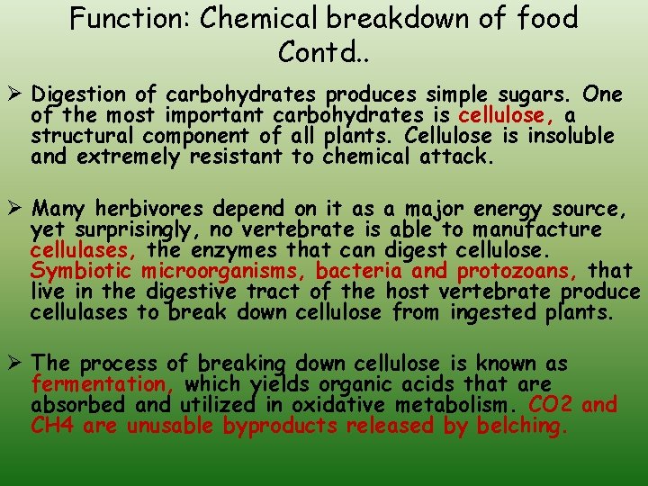 Function: Chemical breakdown of food Contd. . Ø Digestion of carbohydrates produces simple sugars.