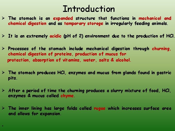 Introduction Ø The stomach is an expanded structure that functions in mechanical and chemical