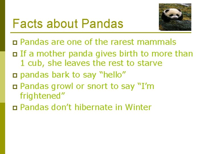 Facts about Pandas are one of the rarest mammals p If a mother panda