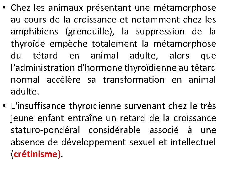  • Chez les animaux présentant une métamorphose au cours de la croissance et