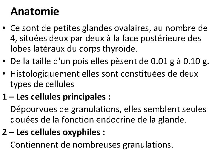 Anatomie • Ce sont de petites glandes ovalaires, au nombre de 4, situées deux