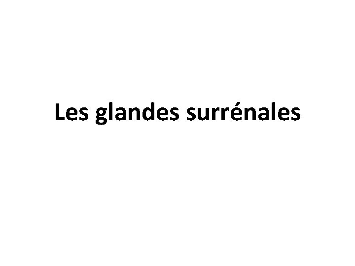 Les glandes surrénales 