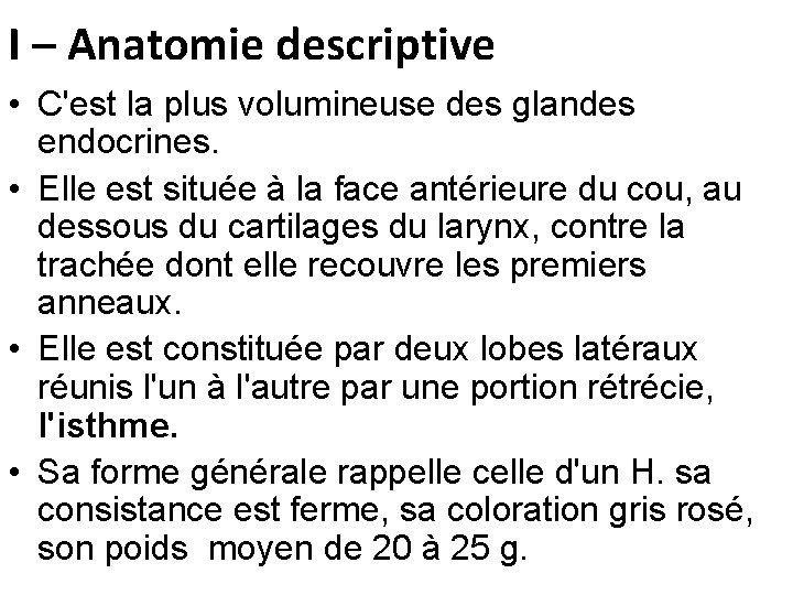 I – Anatomie descriptive • C'est la plus volumineuse des glandes endocrines. • Elle