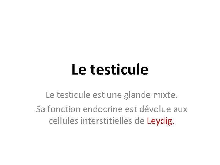 Le testicule est une glande mixte. Sa fonction endocrine est dévolue aux cellules interstitielles