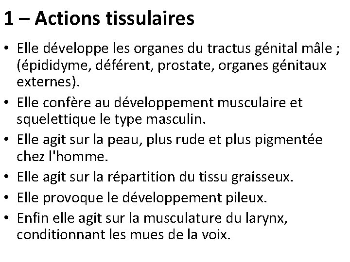 1 – Actions tissulaires • Elle développe les organes du tractus génital mâle ;