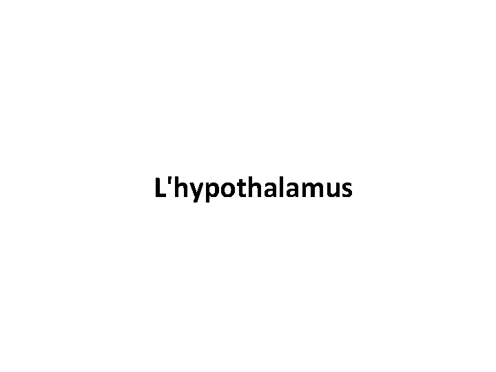 L'hypothalamus 