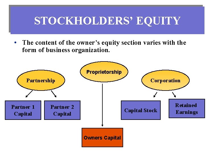 STOCKHOLDERS’ EQUITY • The content of the owner’s equity section varies with the form