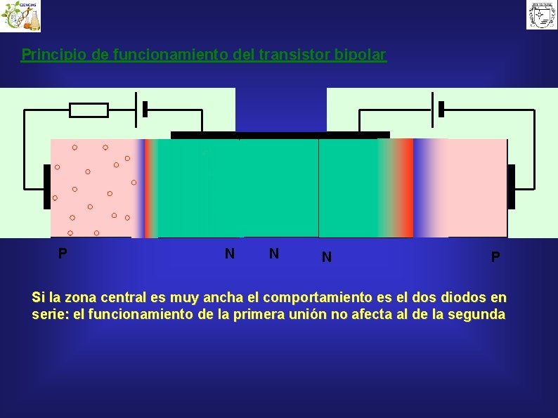 Principio de funcionamiento del transistor bipolar P N N N P Si la zona