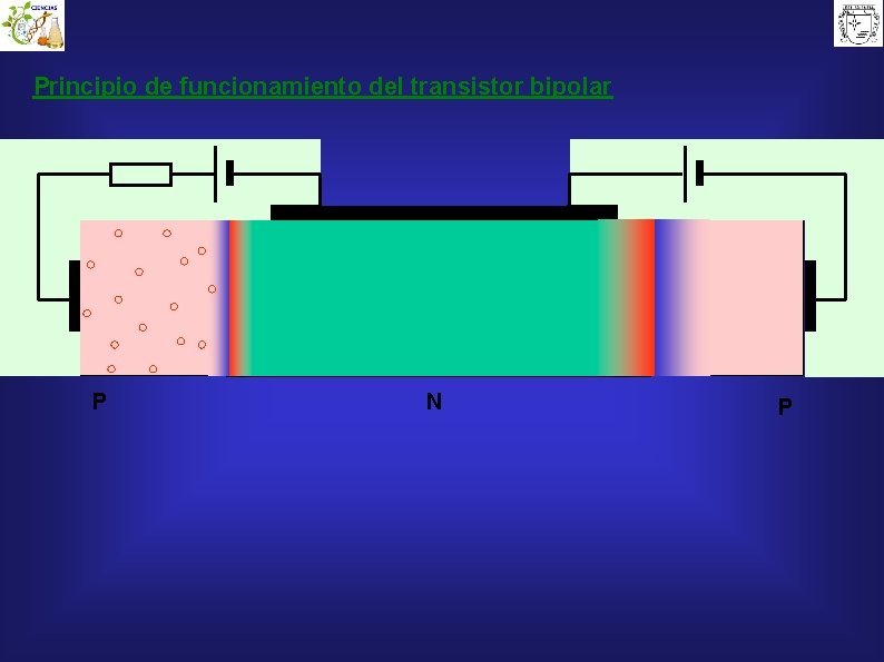 Principio de funcionamiento del transistor bipolar P N P 