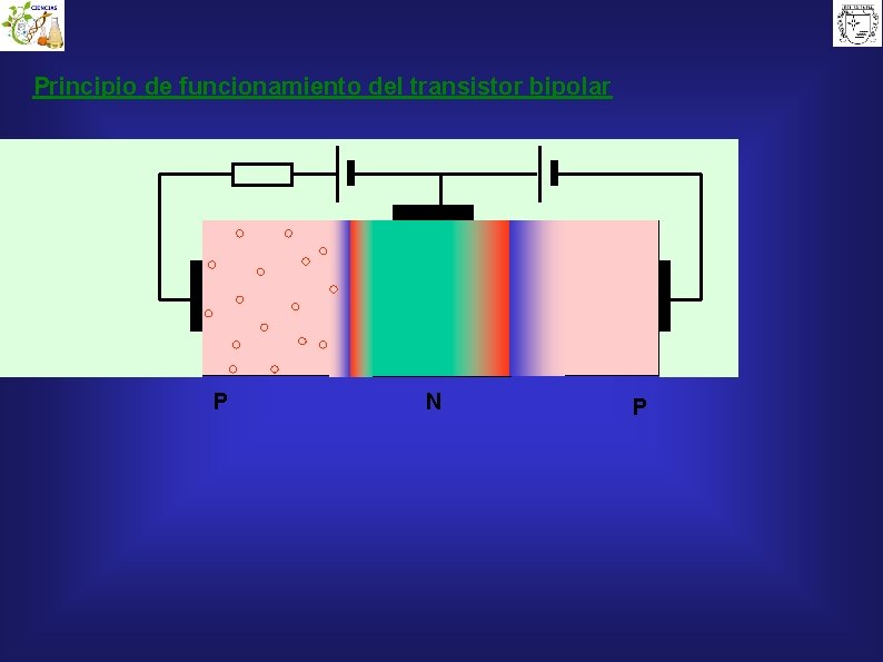 Principio de funcionamiento del transistor bipolar P N P 