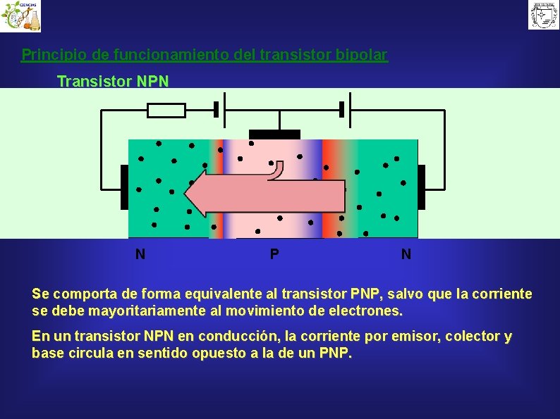 Principio de funcionamiento del transistor bipolar Transistor NPN N P N Se comporta de