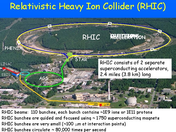 Relativistic Heavy Ion Collider (RHIC) RHIC COLLISIONS INJECTION ACCELERATION PHENIX STAR LINAC Booster EBIS Relativistic Heavy Ion Collider (RHIC) RHIC COLLISIONS INJECTION ACCELERATION PHENIX STAR LINAC Booster EBIS