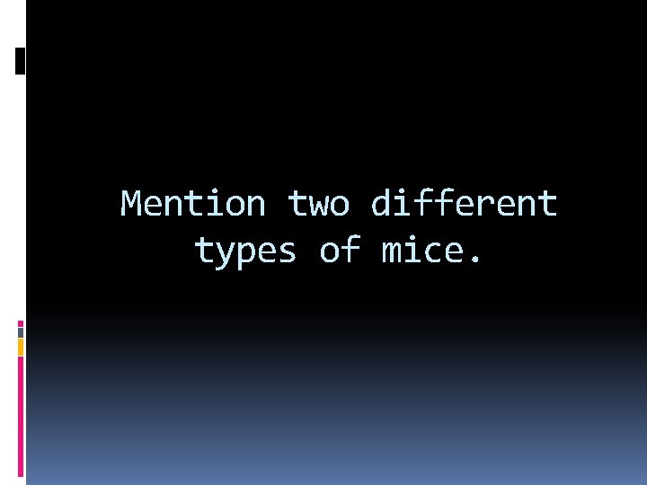 Mention two different types of mice. 