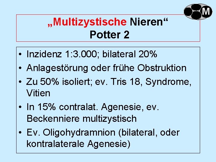 „Multizystische Nieren“ Potter 2 • Inzidenz 1: 3. 000; bilateral 20% • Anlagestörung oder