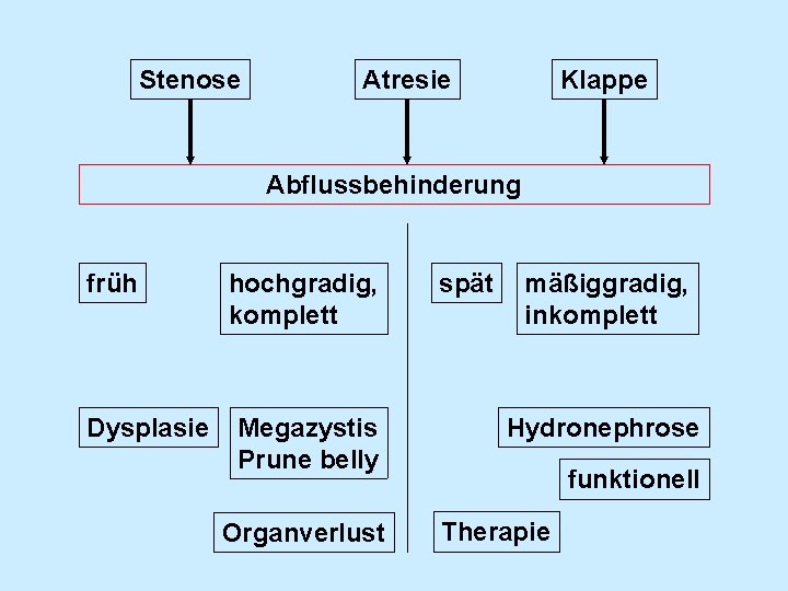 Stenose Atresie Klappe Abflussbehinderung früh Dysplasie hochgradig, komplett Megazystis Prune belly Organverlust spät mäßiggradig,