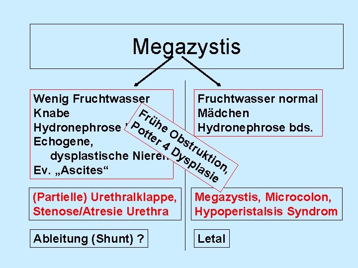 Megazystis Wenig Fruchtwasser normal Fr Knabe Mädchen ü Po he Hydronephrose bds. tte Ob