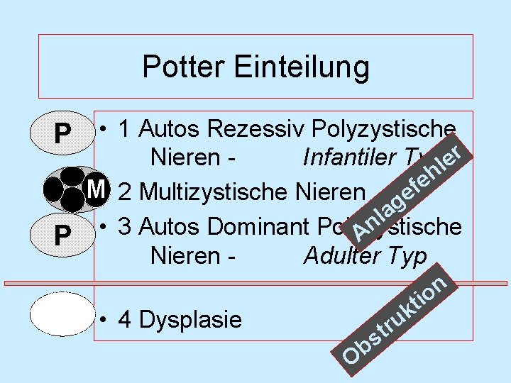 Potter Einteilung P • 1 Autos Rezessiv Polyzystische Nieren Infantiler Typler h e f