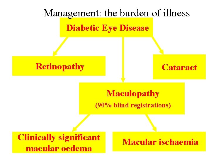 Management: the burden of illness Diabetic Eye Disease Retinopathy Cataract Maculopathy (90% blind registrations)