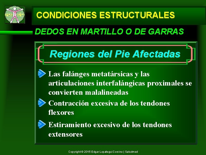 CONDICIONES ESTRUCTURALES DEDOS EN MARTILLO O DE GARRAS Regiones del Pie Afectadas Las falánges