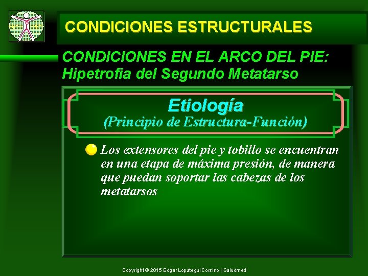 CONDICIONES ESTRUCTURALES CONDICIONES EN EL ARCO DEL PIE: Hipetrofia del Segundo Metatarso Etiología (Principio