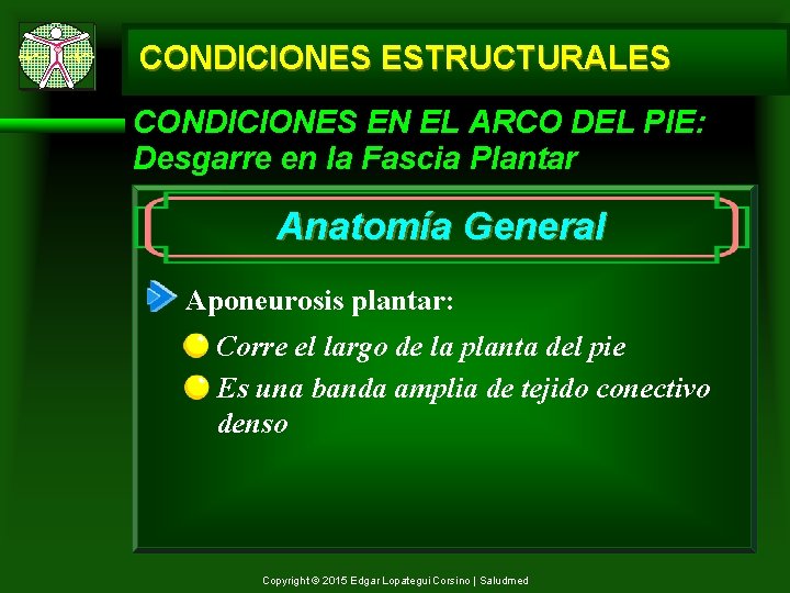 CONDICIONES ESTRUCTURALES CONDICIONES EN EL ARCO DEL PIE: Desgarre en la Fascia Plantar Anatomía