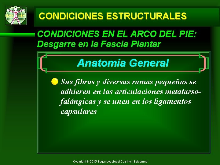 CONDICIONES ESTRUCTURALES CONDICIONES EN EL ARCO DEL PIE: Desgarre en la Fascia Plantar Anatomía