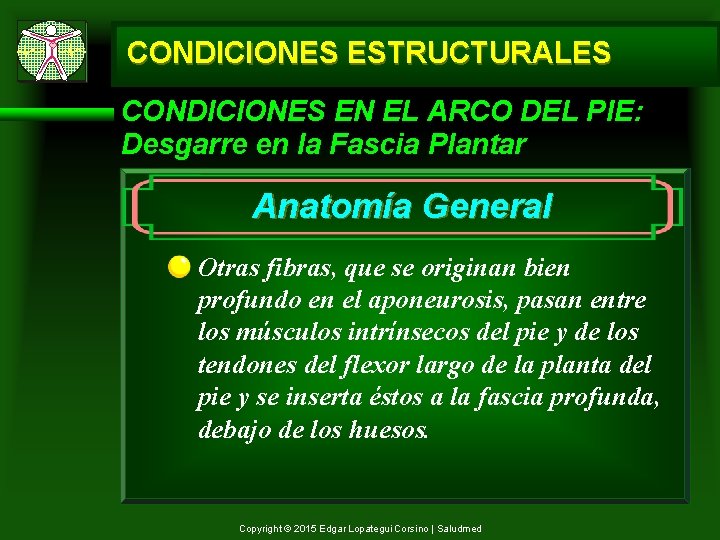 CONDICIONES ESTRUCTURALES CONDICIONES EN EL ARCO DEL PIE: Desgarre en la Fascia Plantar Anatomía