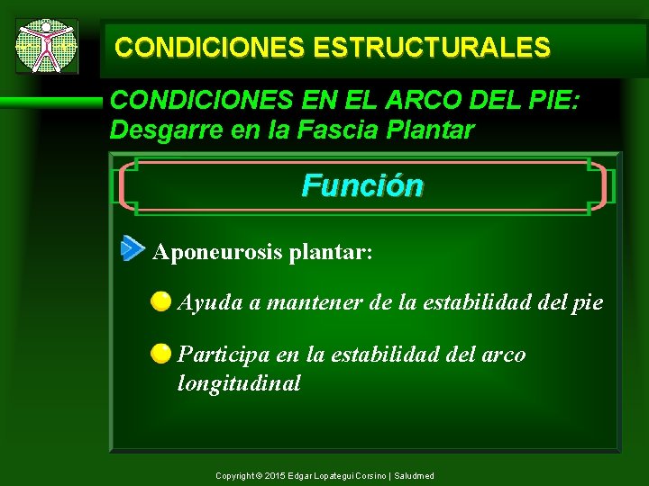 CONDICIONES ESTRUCTURALES CONDICIONES EN EL ARCO DEL PIE: Desgarre en la Fascia Plantar Función