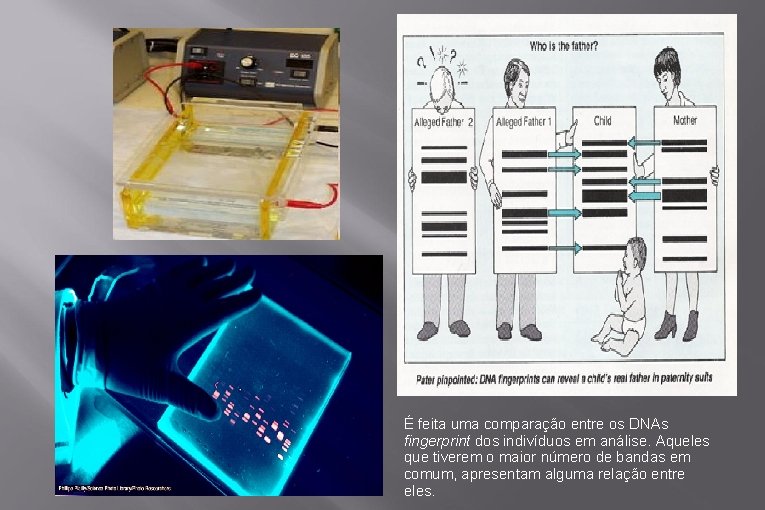 É feita uma comparação entre os DNAs fingerprint dos indivíduos em análise. Aqueles que