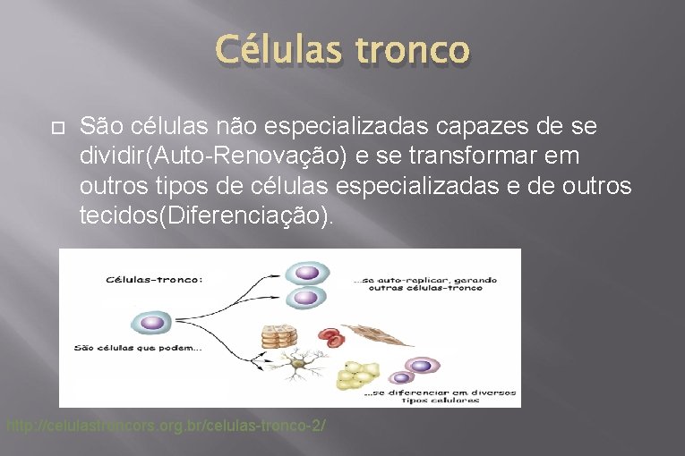 Células tronco São células não especializadas capazes de se dividir(Auto-Renovação) e se transformar em